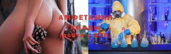 прущие грибы Магас